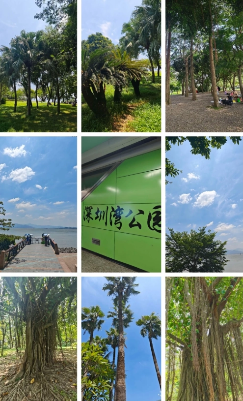 hangzhou layover tour