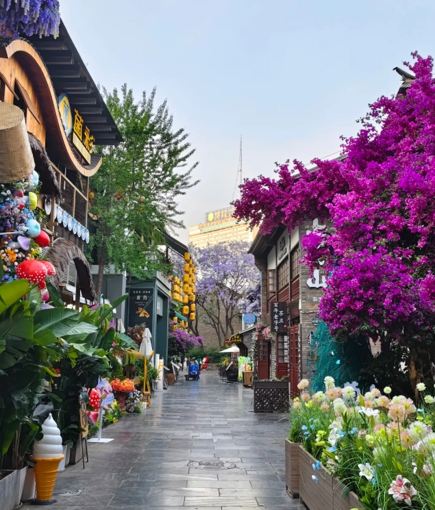 free places to visit in kunming