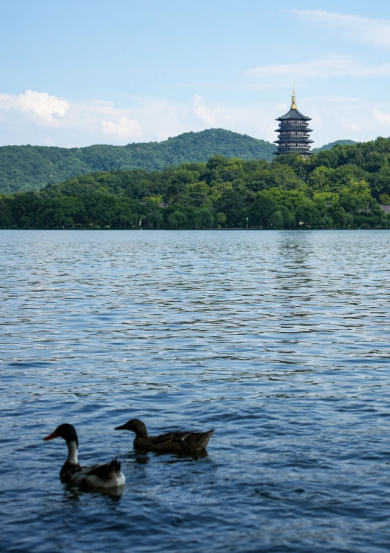 Hangzhou tours for foreigners Hangzhou tours for foreigners