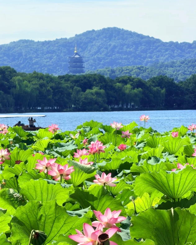 budget activities in Hangzhou budget activities in Hangzhou
