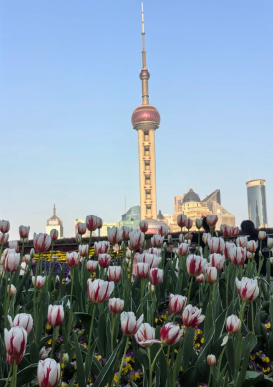 free Shanghai attractions