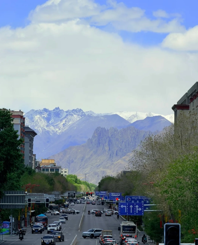 Lhasa with kids