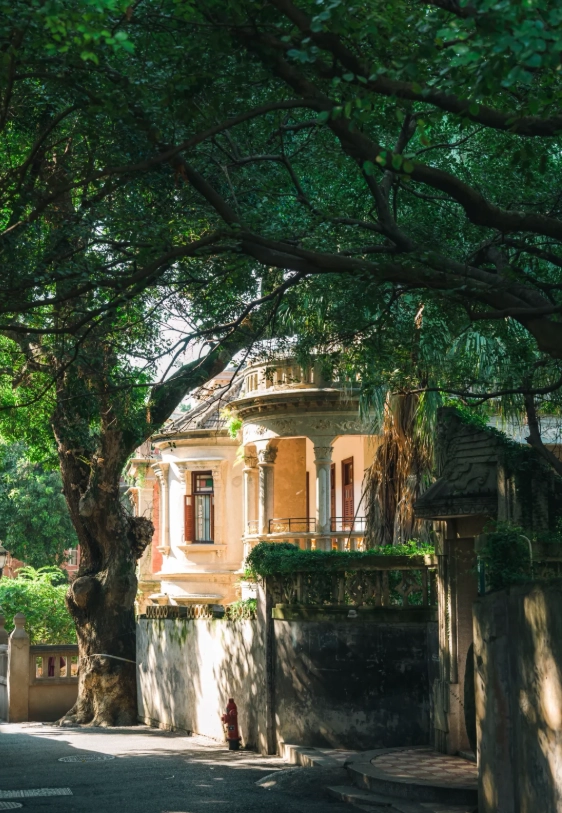 xiamen travel guide xiamen travel guide