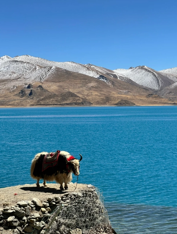 best places to visit in lhasa