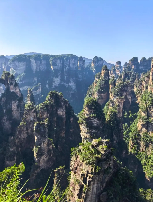 family things to do in zhangjiajie