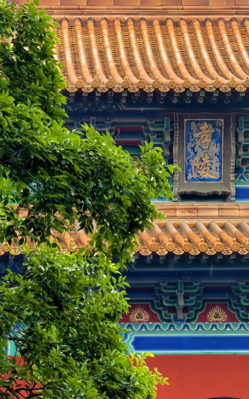 things to do in Nanjing