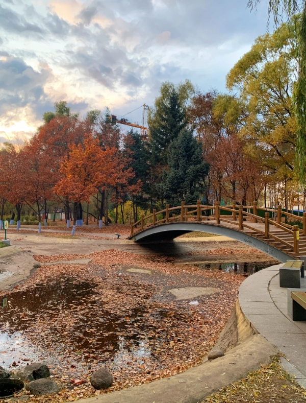 free things to do in harbin