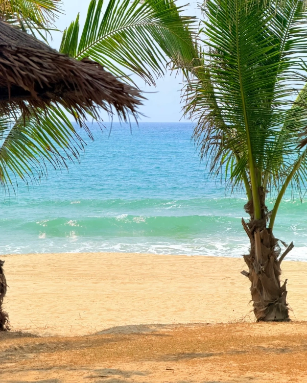 sanya family attractions sanya family attractions