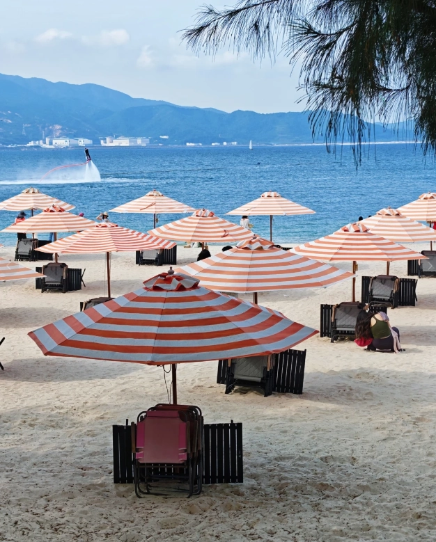 shenzhen local guide