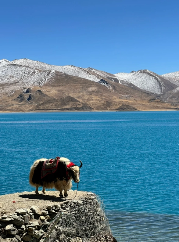 Lhasa family itinerary