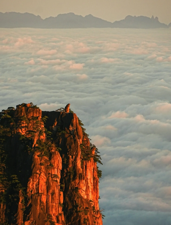 mount huangshan tours mount huangshan tours