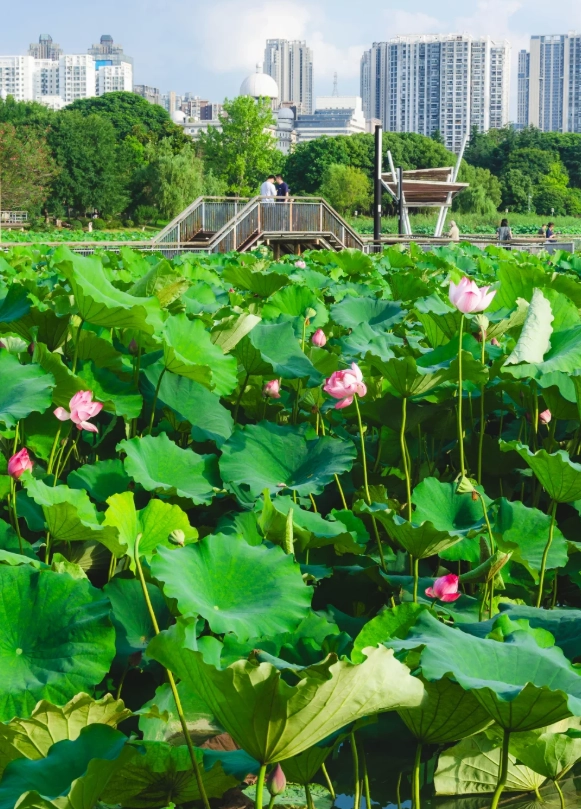 Ningbo attractions for children Ningbo attractions for children