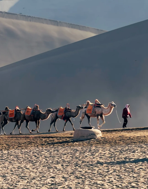 Mingsha Mountain camel ride Mingsha Mountain camel ride