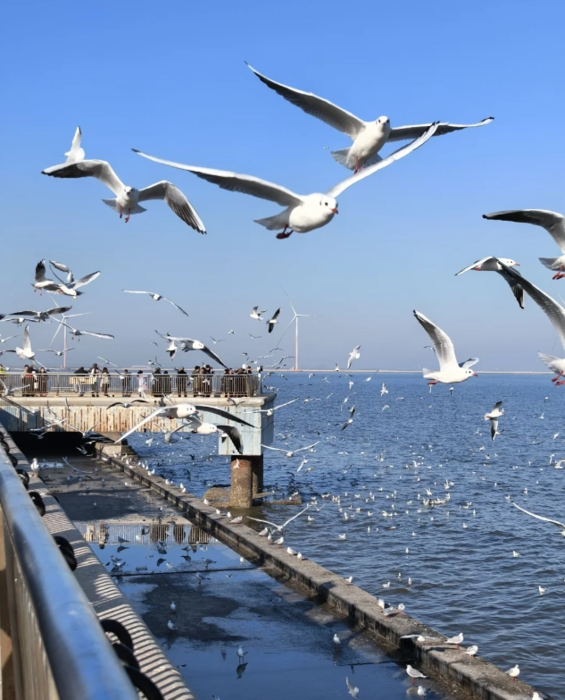 Tianjin travel guide