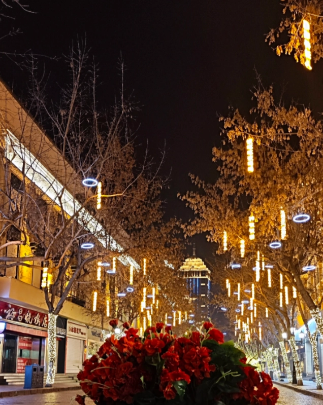 harbin free parks and streets