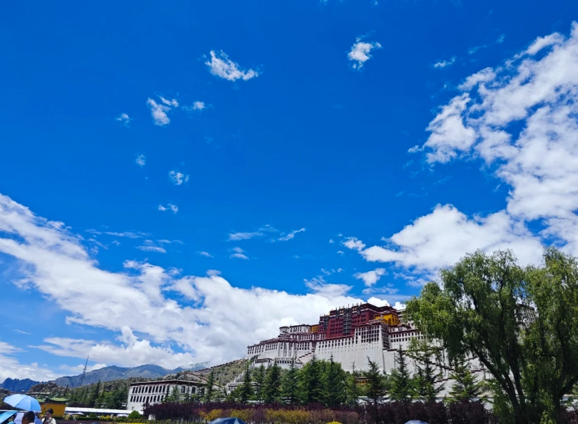 Lhasa with kids