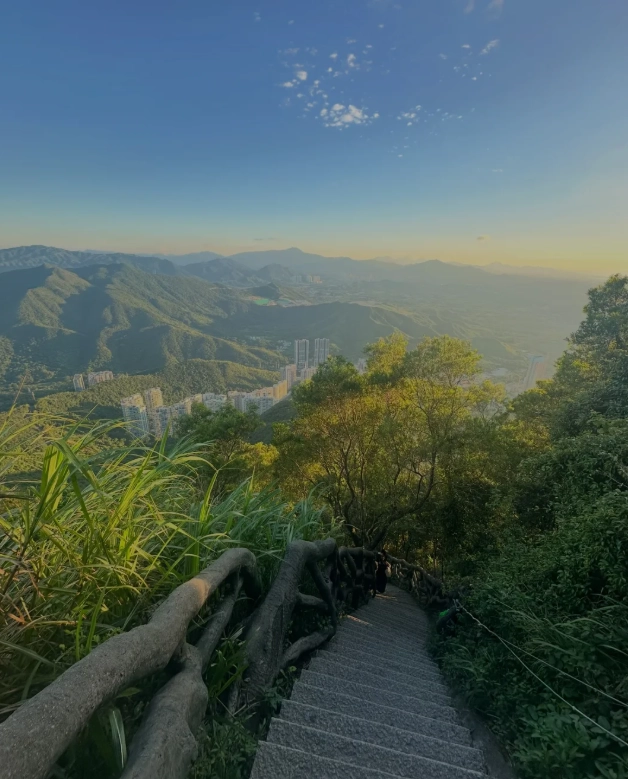 shenzhen local guide