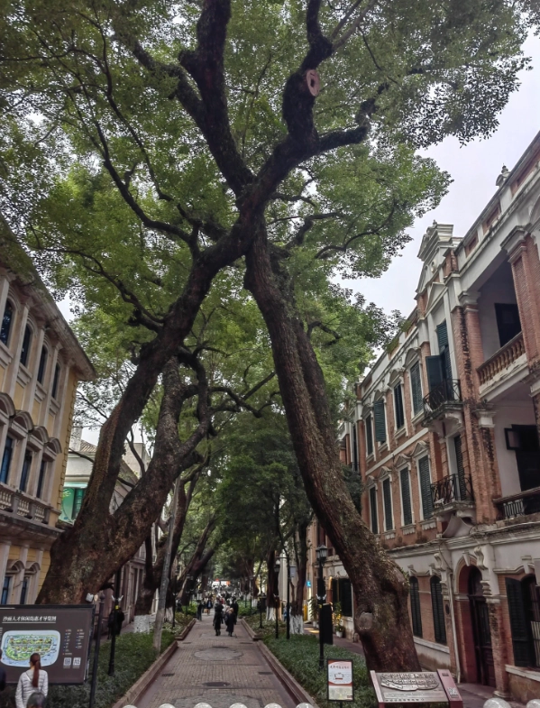 Guangzhou 3-day trip Guangzhou 3-day trip