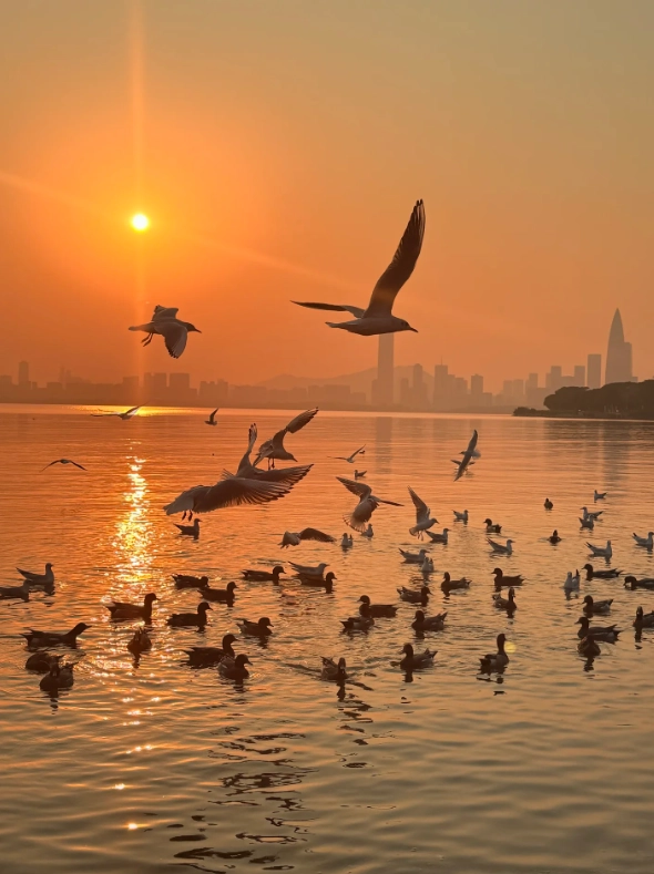 shenzhen itinerary