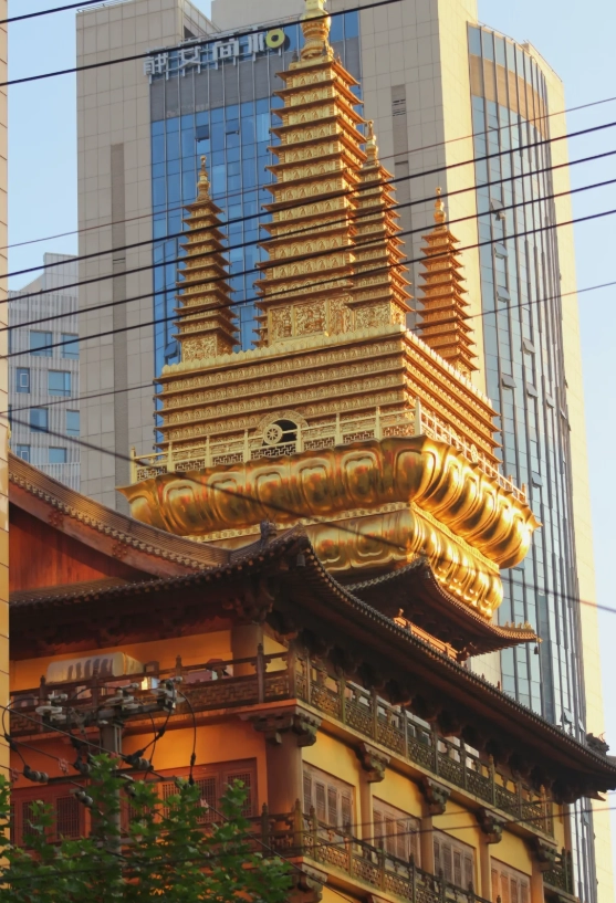 shanghai travel guide shanghai travel guide