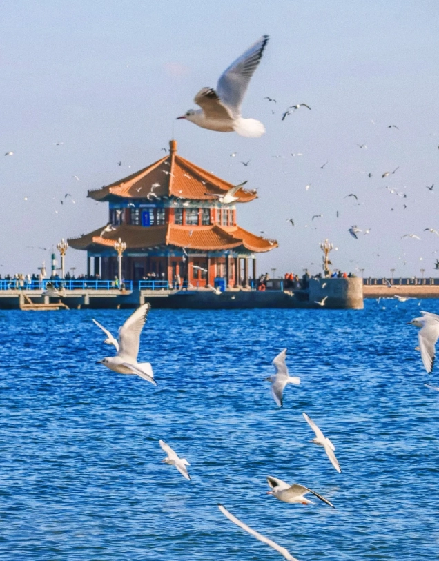 Qingdao attractions