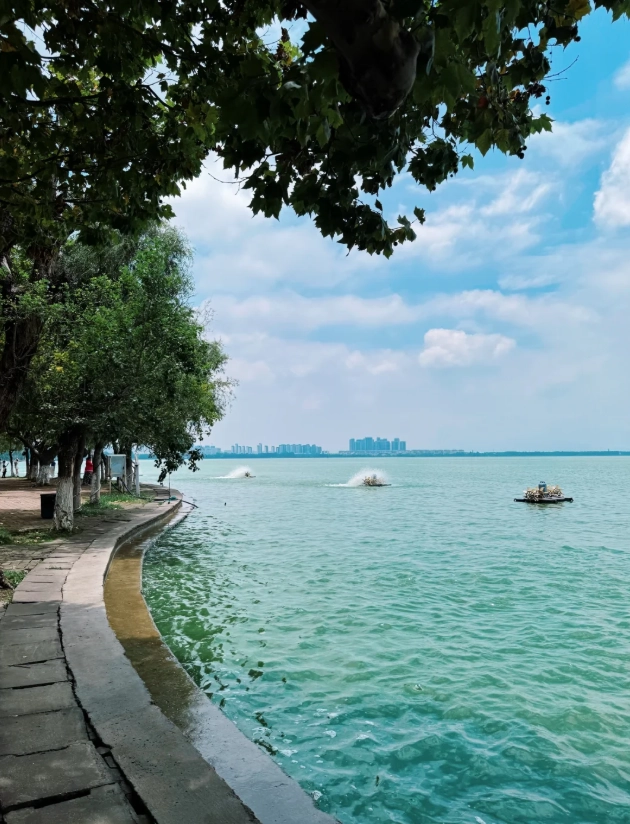 things to do in kunming