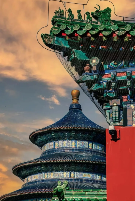 peking duck restaurants