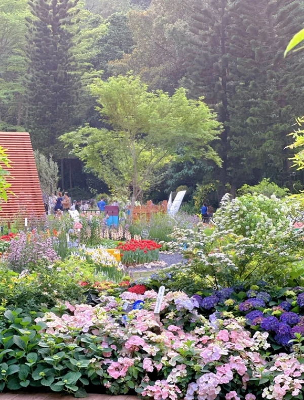 shenzhen family itinerary shenzhen family itinerary