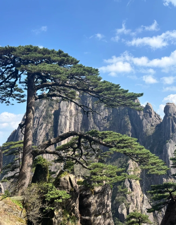 Huangshan tickets booking Huangshan tickets booking
