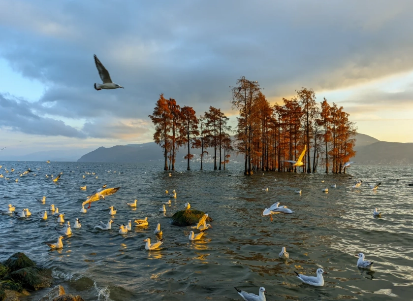 dali erhai lake tips