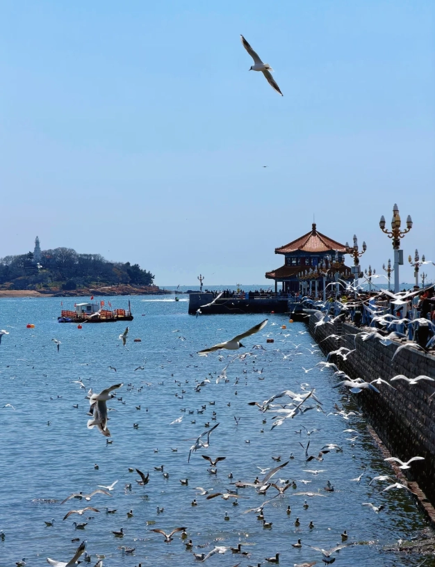 top things to do in qingdao top things to do in qingdao