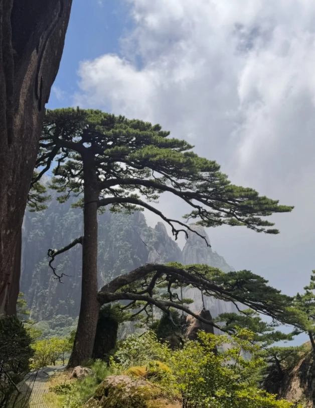 Huangshan travel guide