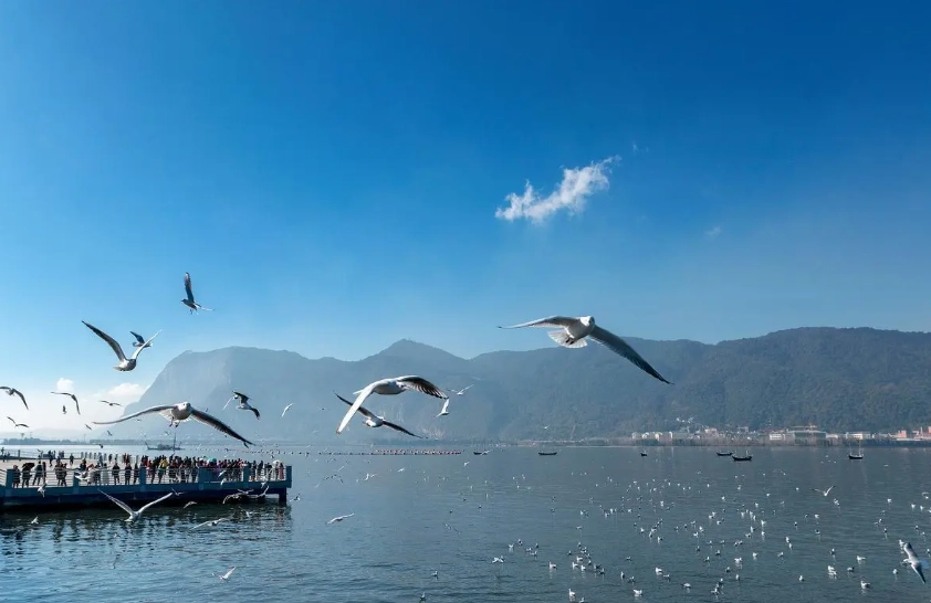 kunming attractions