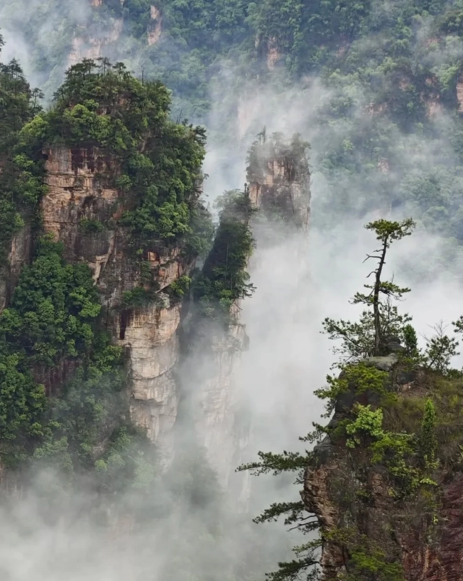 top things to do in zhangjiajie