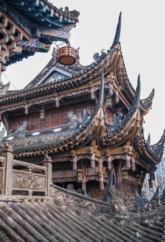 what to do in chongqing