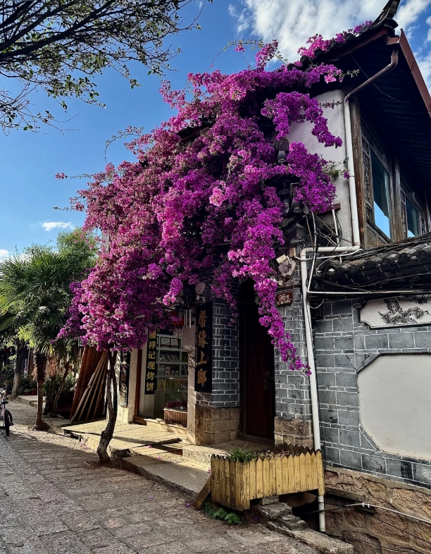 things to do in lijiang with kids things to do in lijiang with kids