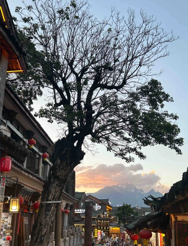 Lijiang travel guide Lijiang travel guide