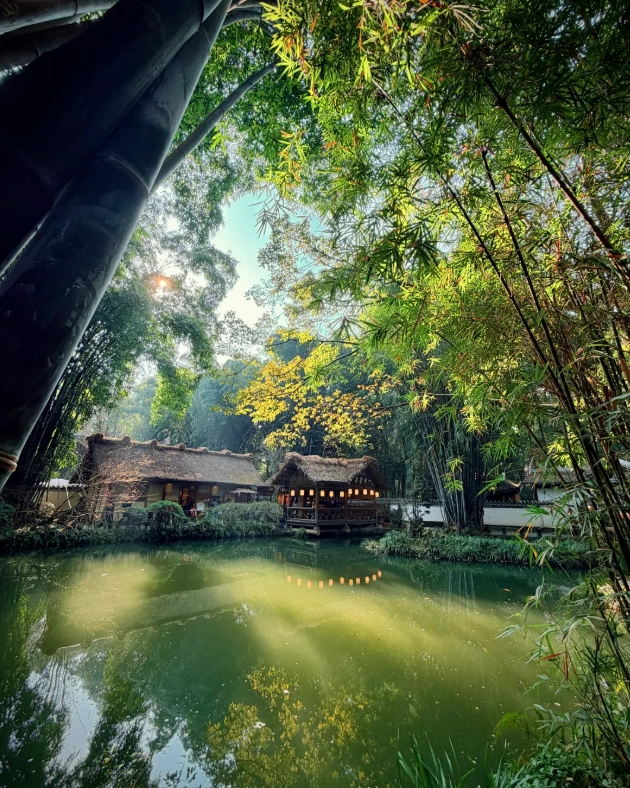 chengdu panda base chengdu panda base