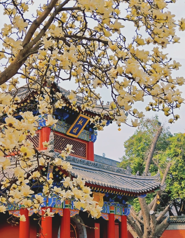 Xi'an travel guide Xi'an travel guide