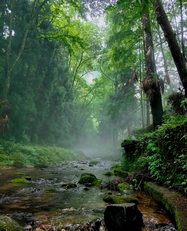 Zhangjiajie attractions Zhangjiajie attractions