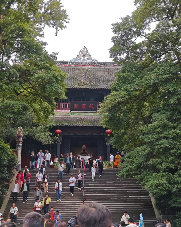 things to do in chengdu with kids