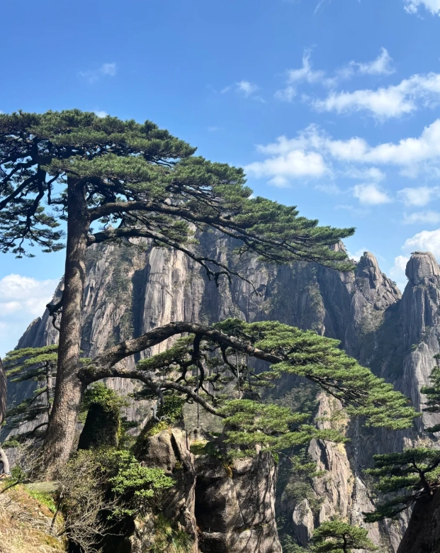 huangshan with kids huangshan with kids