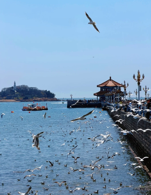 Qingdao free attractions