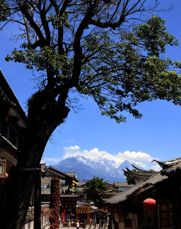 Jade Dragon Snow Mountain Jade Dragon Snow Mountain