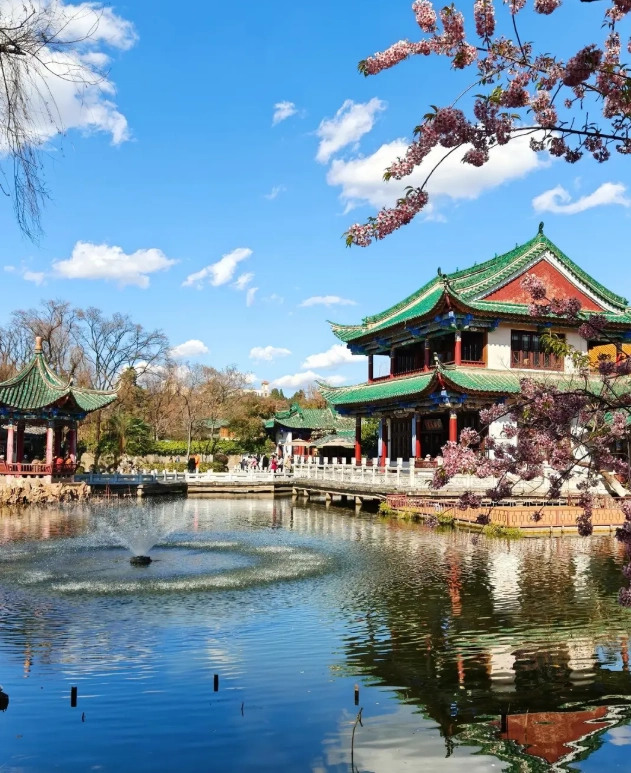 what to do in kunming