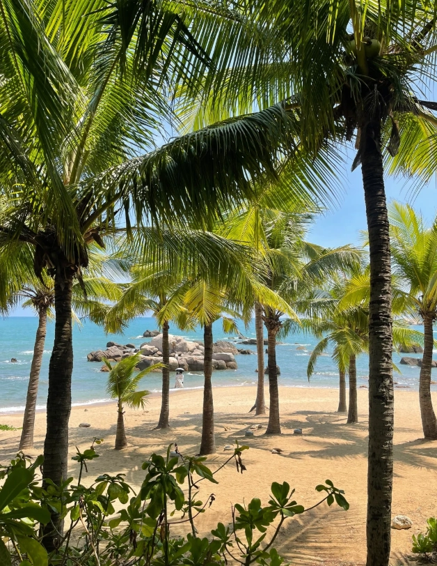 Sanya attractions Sanya attractions