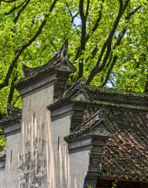 Ningbo travel guide Ningbo travel guide