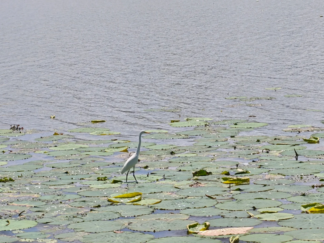 is Dongqian Lake worth it is Dongqian Lake worth it