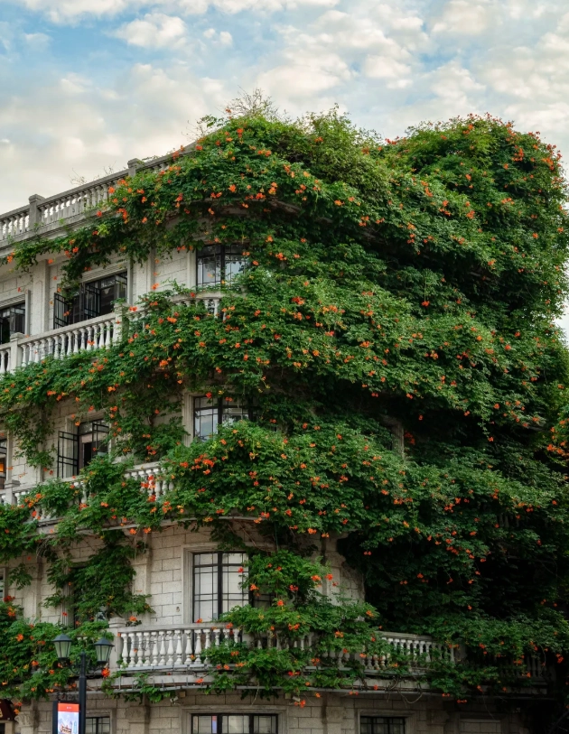 ningbo travel guide