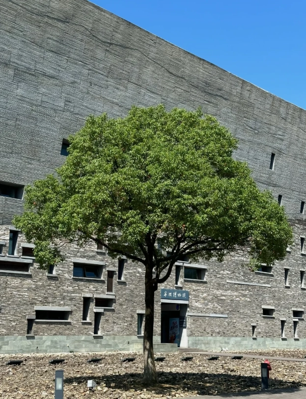 where to take photos in Ningbo Museum where to take photos in Ningbo Museum